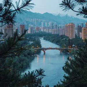 随便开价违反什么法律